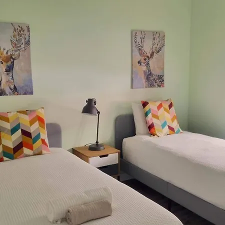 Afonso Galo Guest Iii